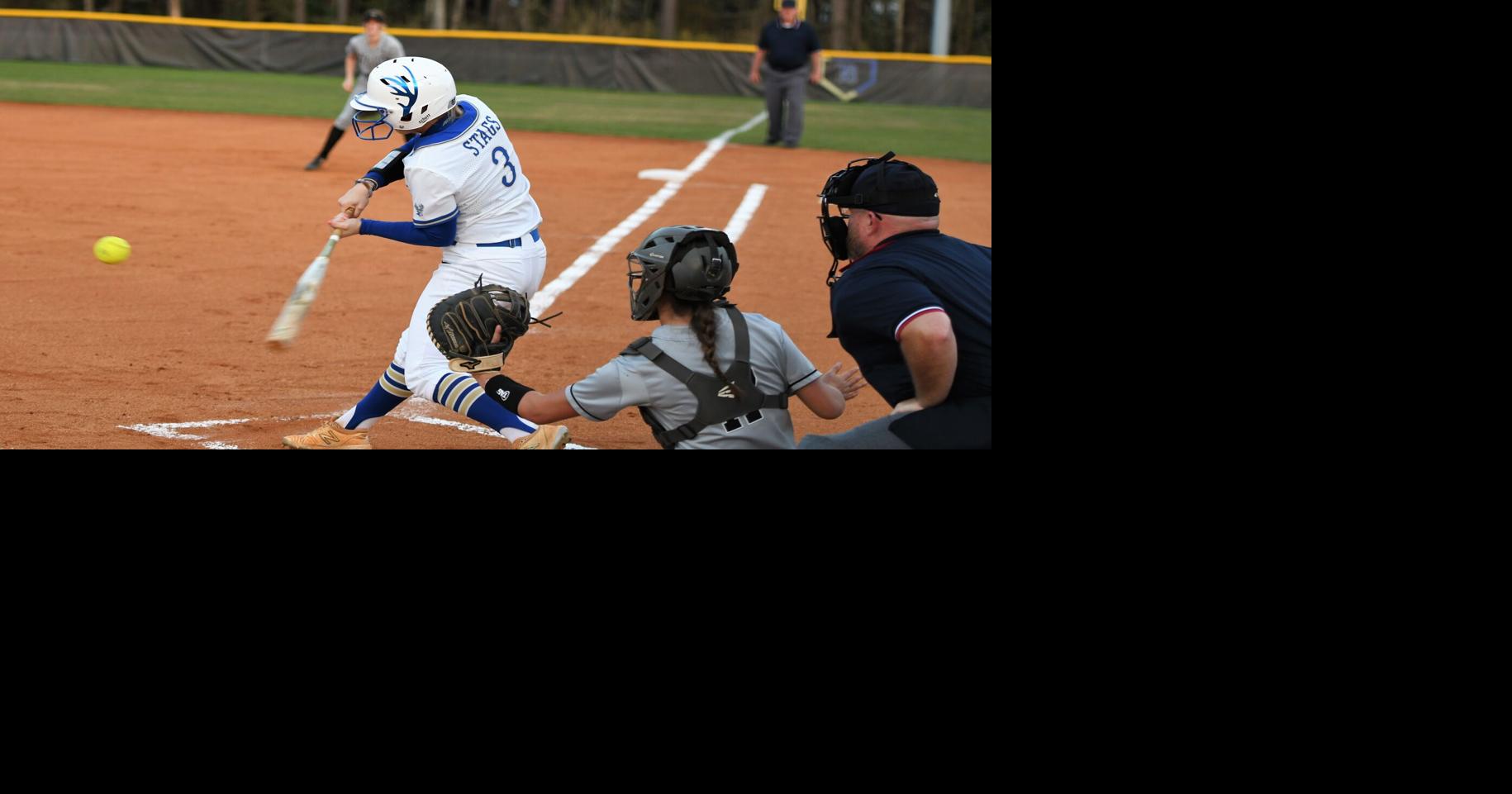 Stags headline allregion softball team Prep Sports