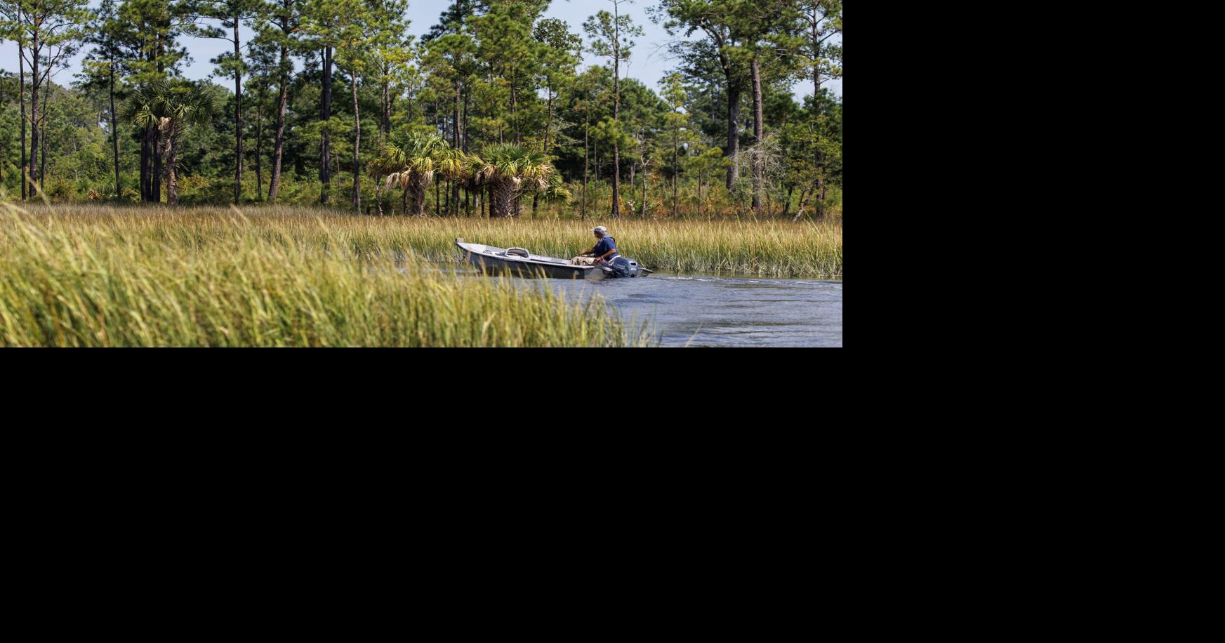 Cainhoy Peninsula is Charleston's future. Can development be balanced with ...