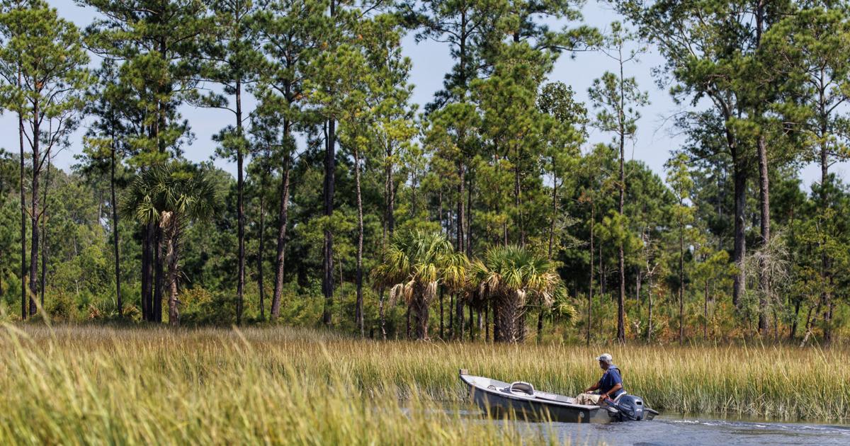 Cainhoy Peninsula is Charleston's future. Can development be balanced with ...