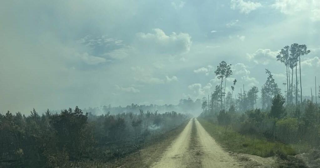 While the Francis Marion wildfire keeps spreading, so does containment. What does that mean?