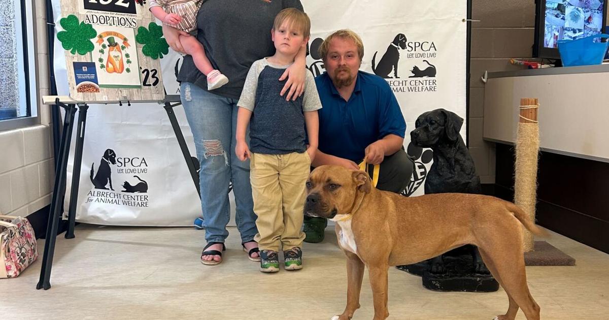 ANIMAL Link: Adopt, never store for the future household pet | Attributes ANIMAL Link: Adopt, never store for the future household pet | Attributes