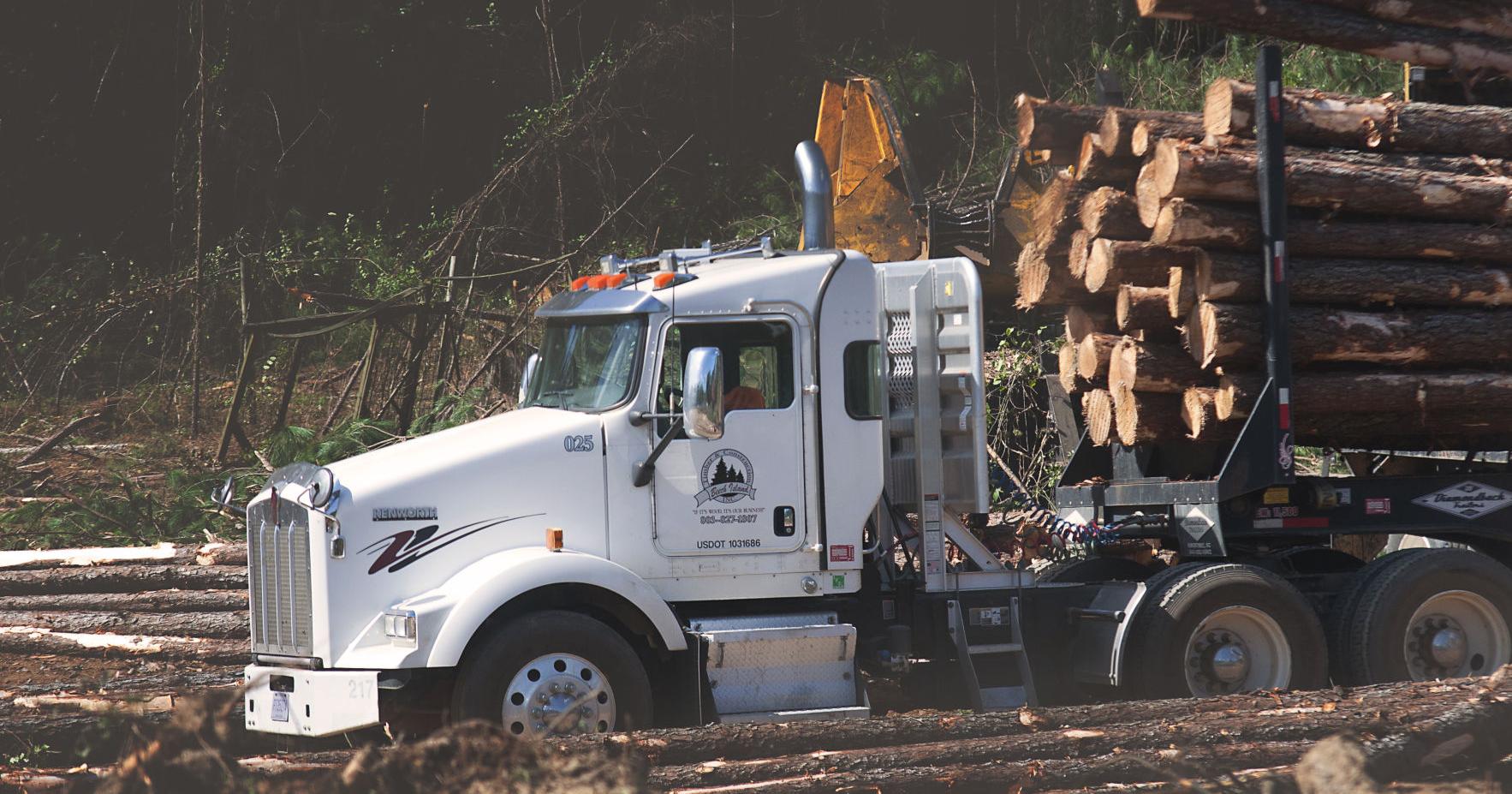 SC's forestry industry facing 'catastrophic' collapse | Palmetto Politics - Vimarsana News