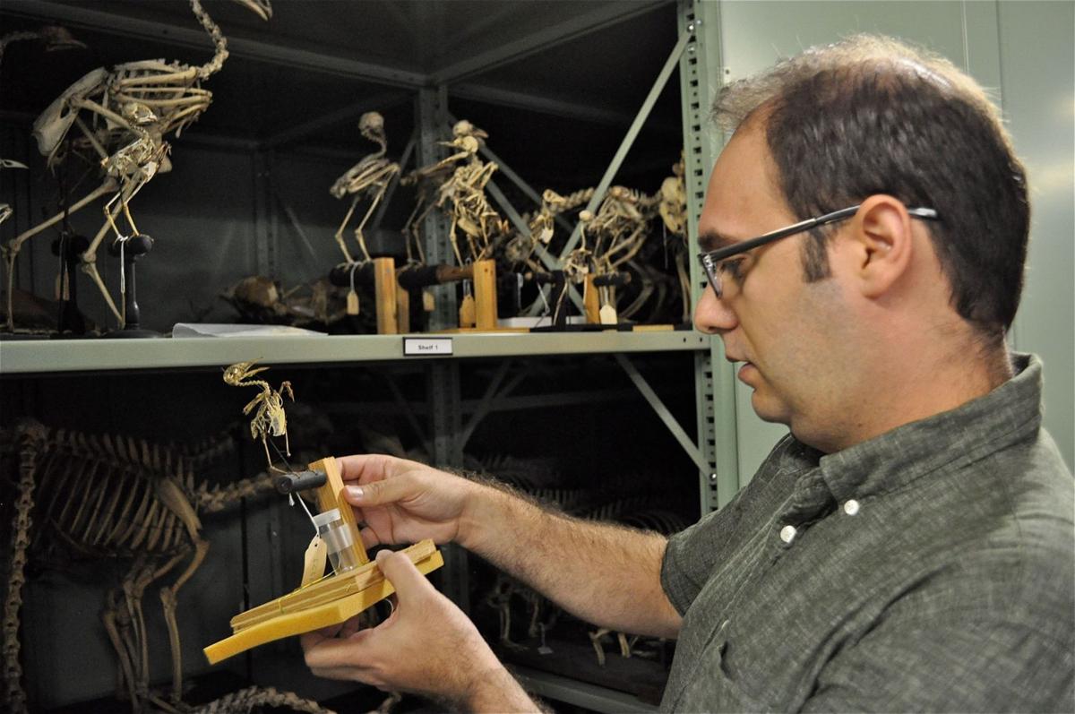 Skeletons in the Closet