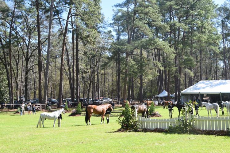 Aiken Horse Show opens in beautiful forest setting that spectators