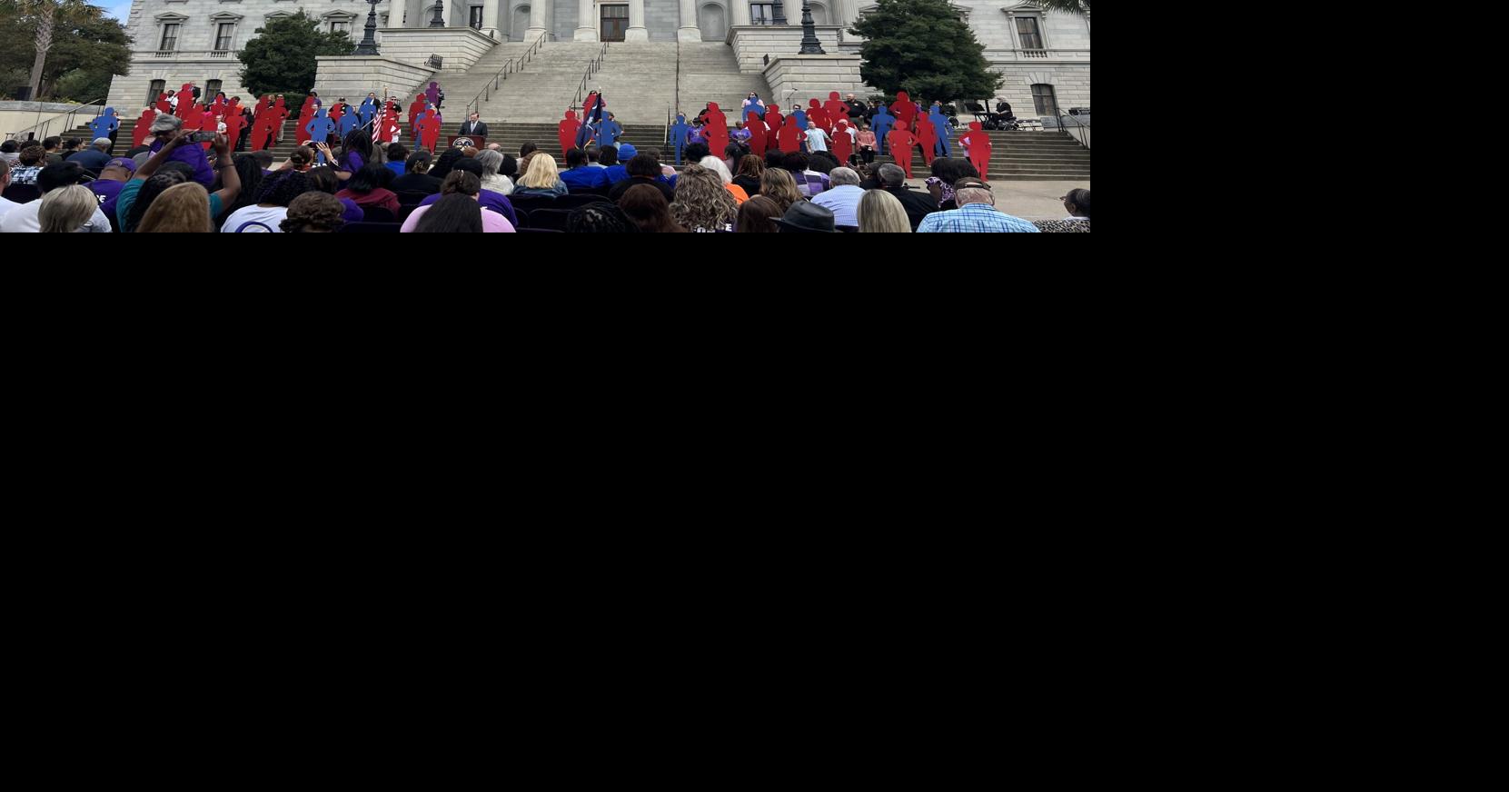 SC recognizes victims of domestic violence after years of fluctuations in the state's ranking