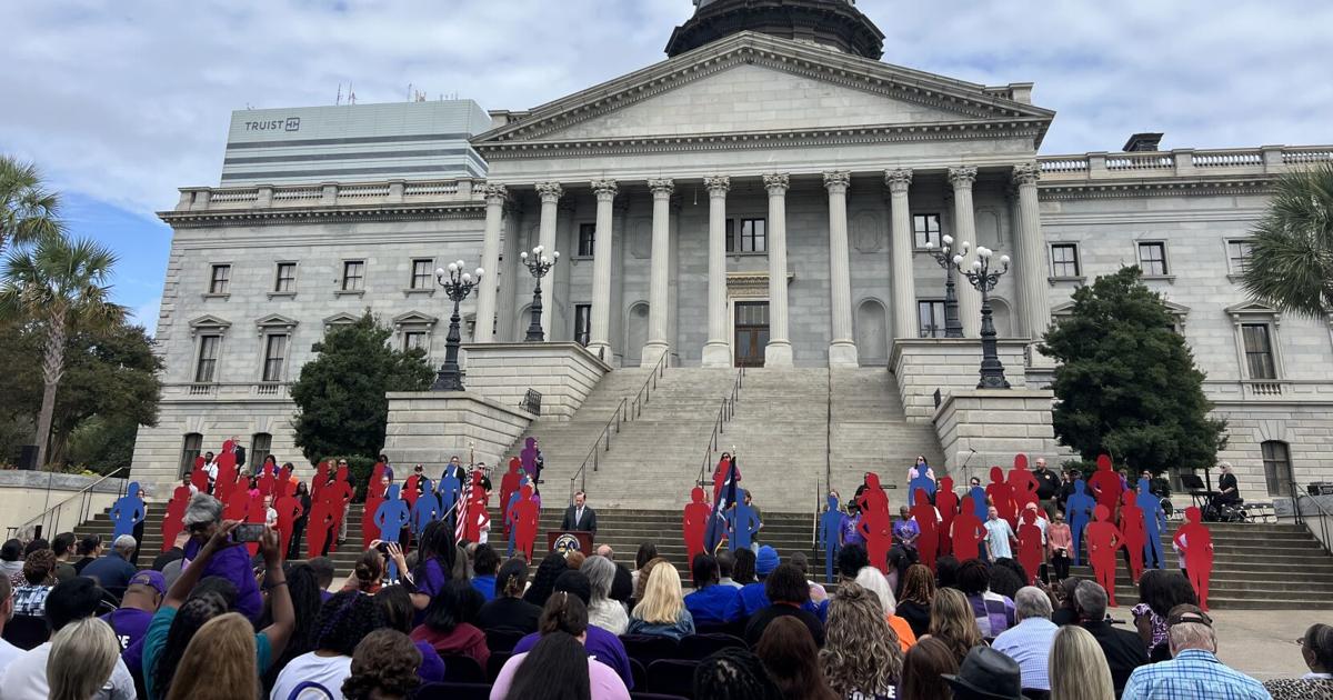 SC recognizes victims of domestic violence after years of fluctuations in the state's ranking