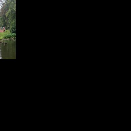 CSX train derails near rural Upstate South Carolina lake