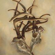 Jill Hooper's "Locked Horns"