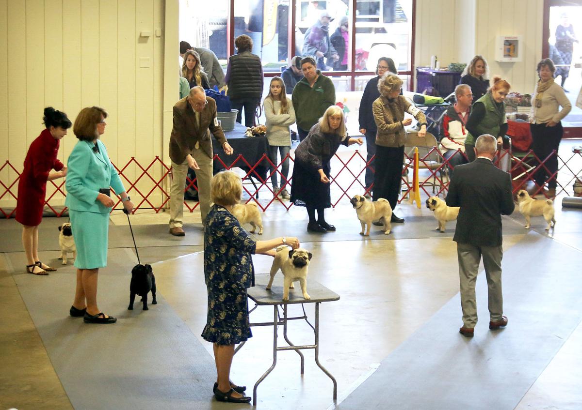 Charleston Kennel Club