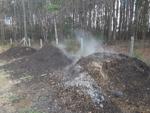 Active horse manure compost heaps (Courtesy Hardy Brown, Chainey Briar Stables in Ridgeville)