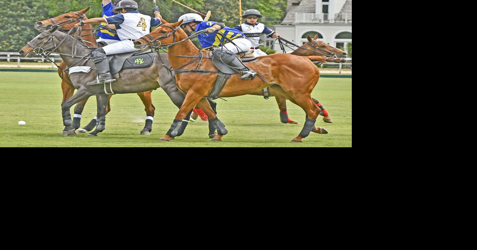 First-time polo spectators dip their toes into Aiken’s equestrian tradition with Sunday matches 