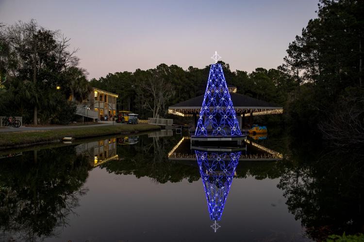 Photos James Island County Park Festival of Lights Photos from The
