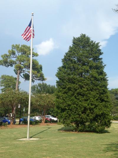 North Charleston's Christmas tree will be removed after damage from