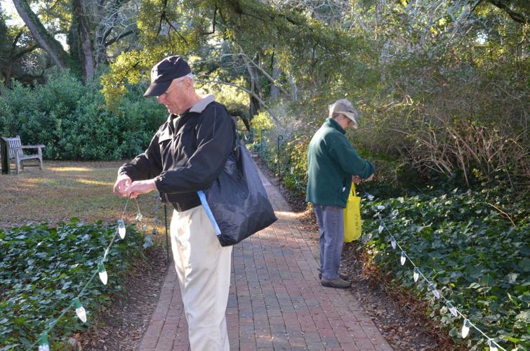 Volunteers string up Christmas lights in Hopelands Gardens News