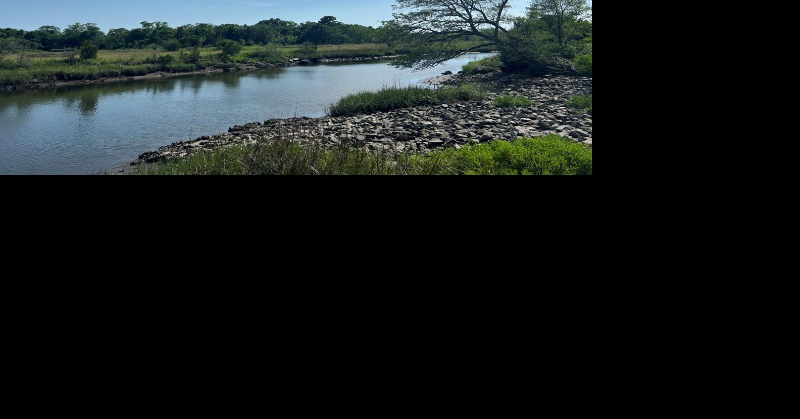 Some Charleston area cities keep overspending greenbelt funds ...