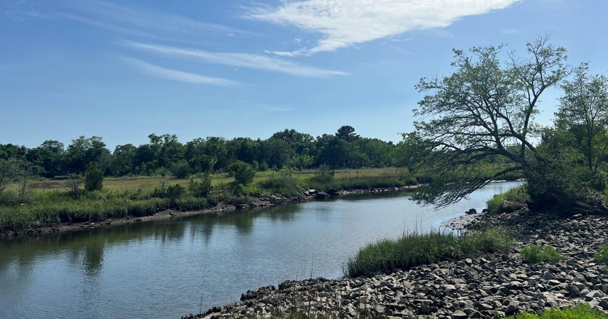Some Charleston area cities keep overspending greenbelt funds ...