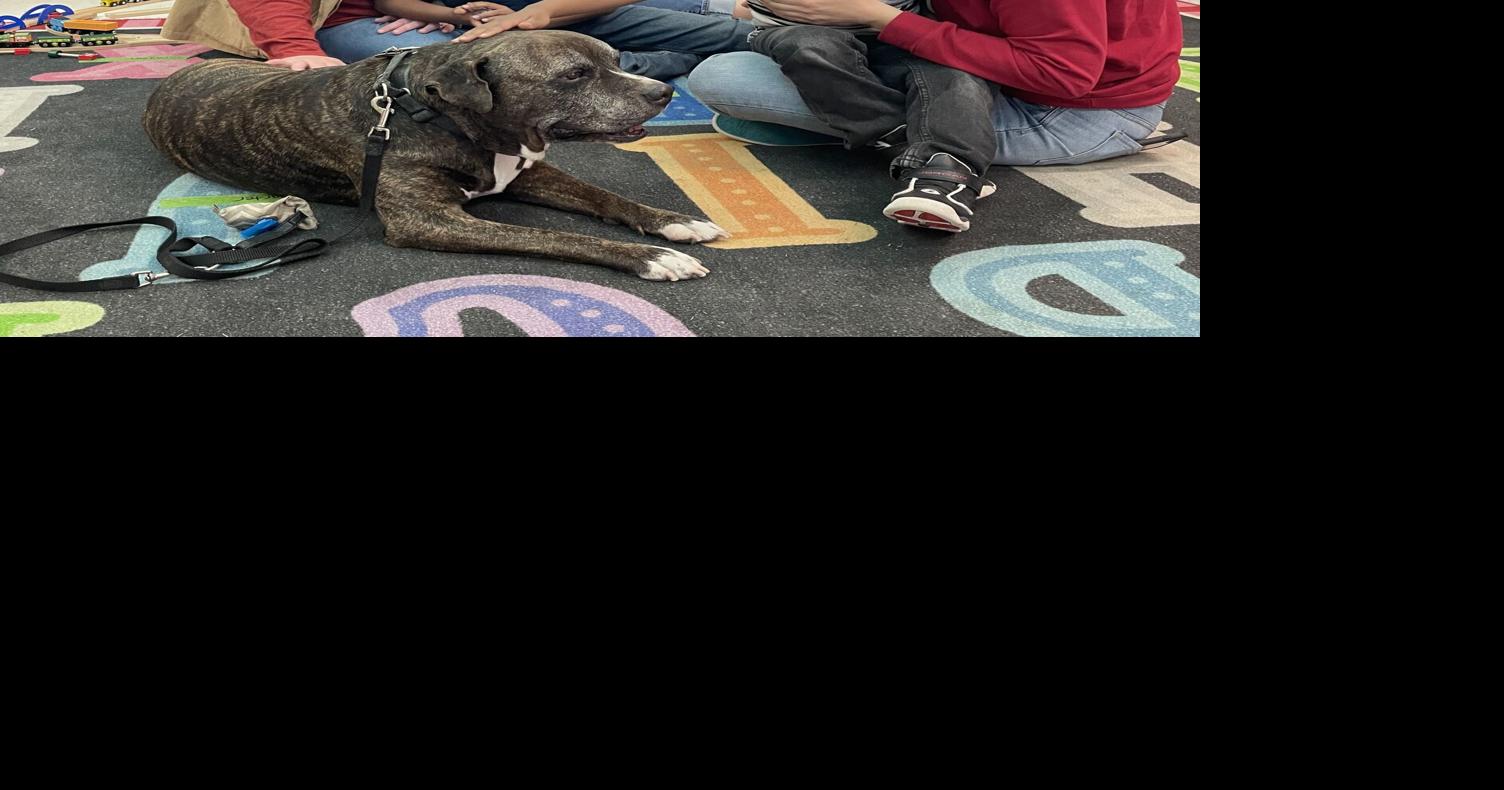 Therapy dogs visit Knightsville Elementary students | Community News ...