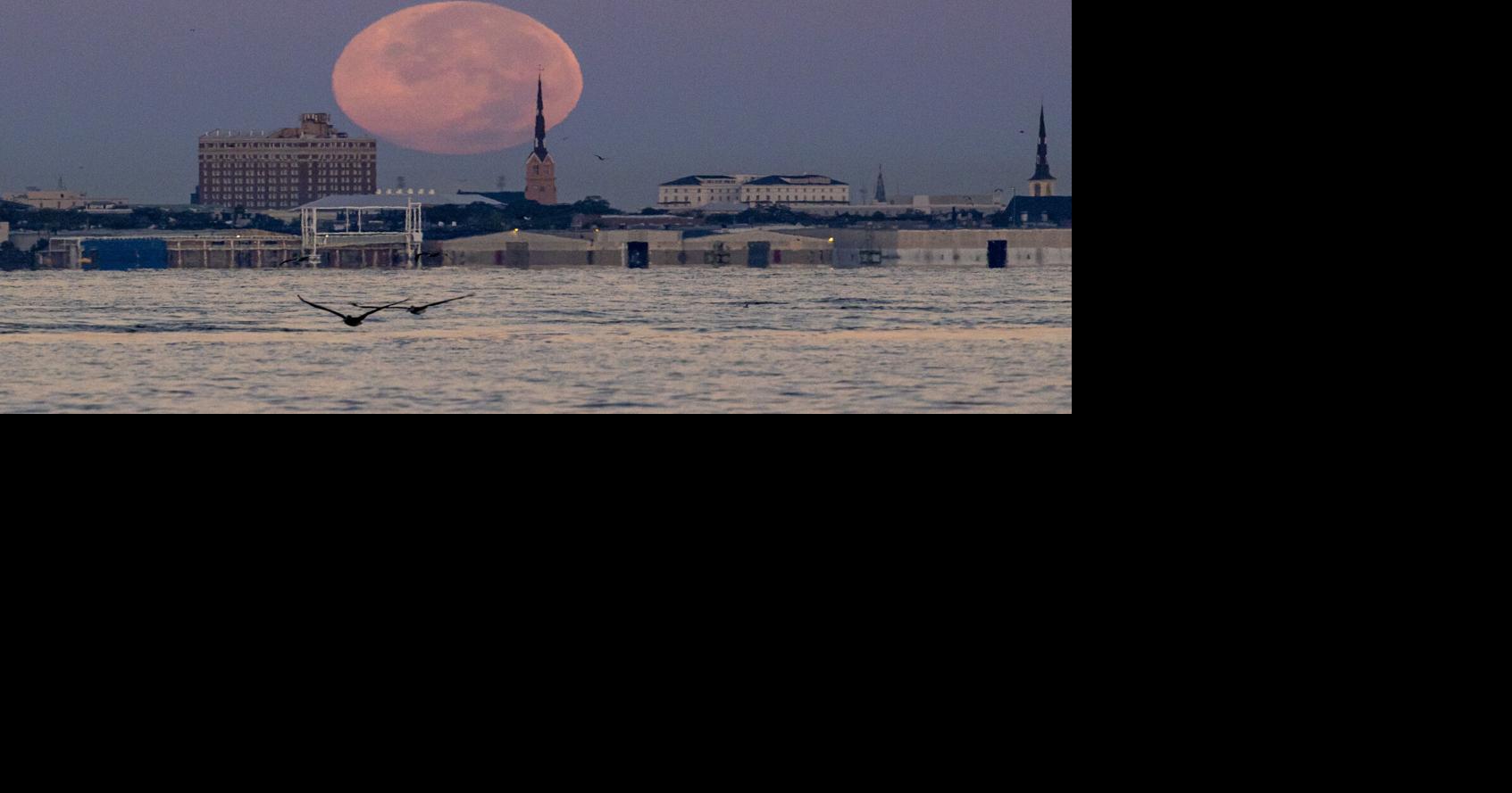 Fotos: Der größte und hellste Supermond des Jahres 2025