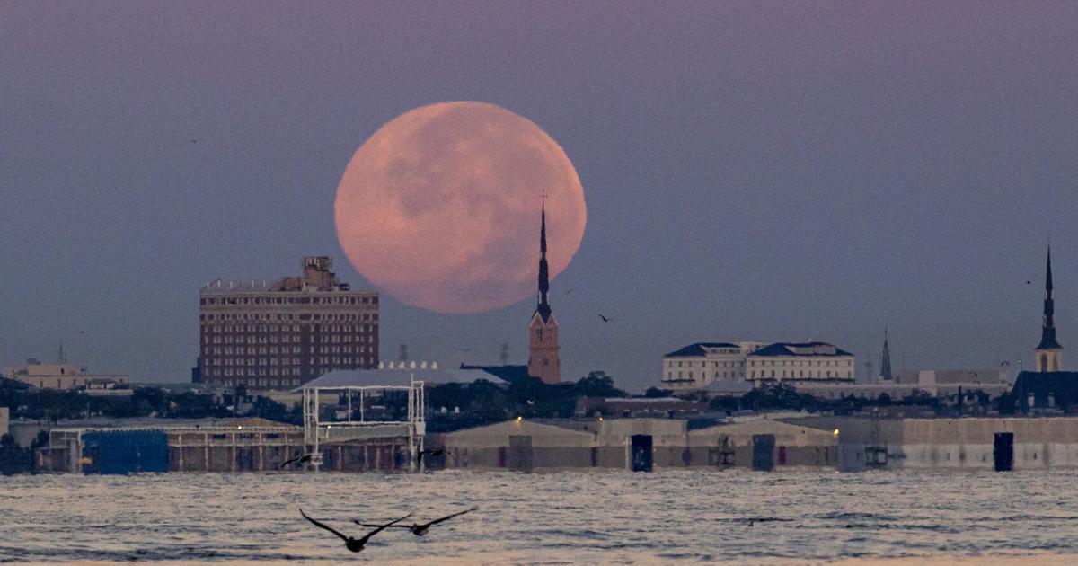 Fotos: Der größte und hellste Supermond des Jahres 2025