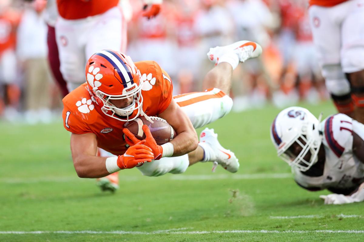 Nematodes In Death Valley Cost Clemson 100 000 For New Grass Field Clemson Postandcourier Com