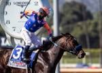 Dream Shake finishes third in Santa Anita Derby in California