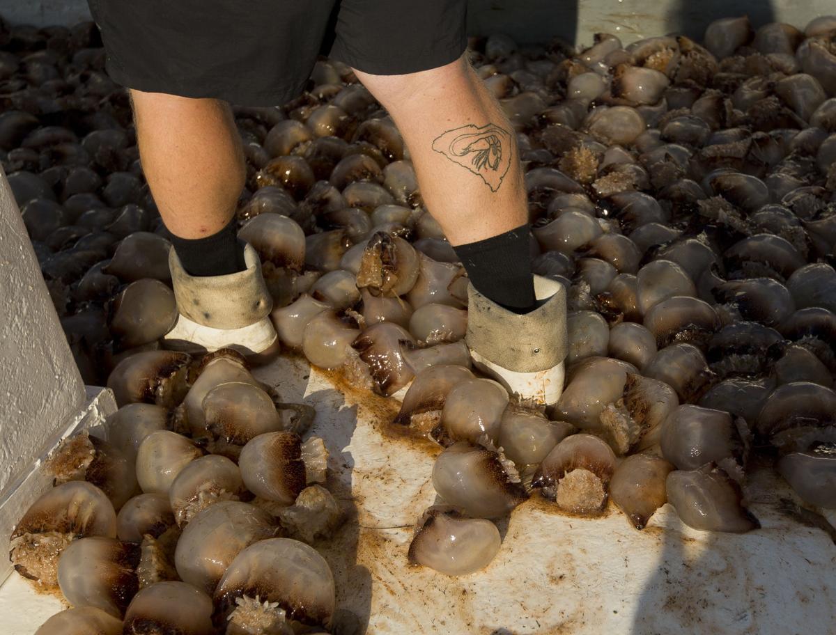 Shrimp opening day ONLINE 13.jpg