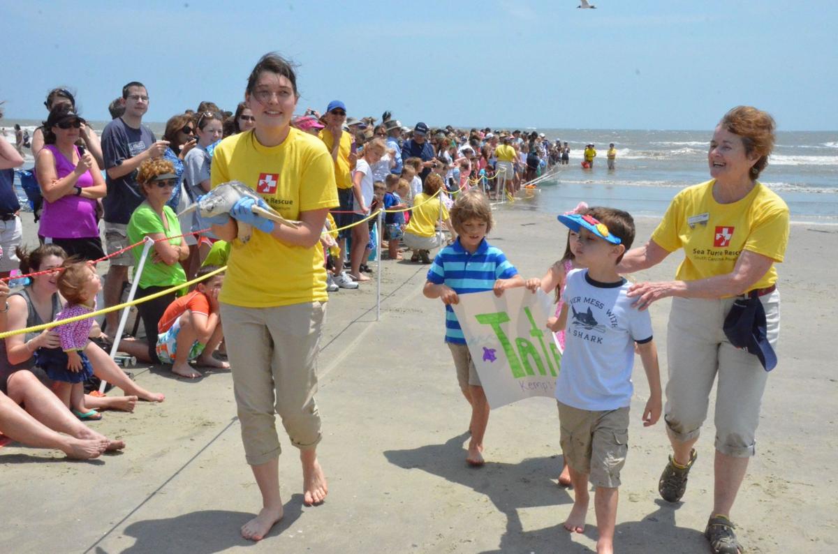 SC Aquarium releases six rehabbed sea turtles