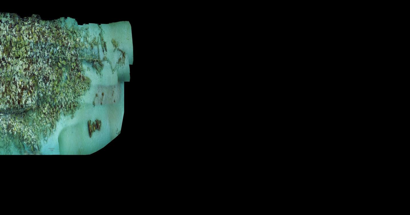 Charleston professor created image of a secret coral reef
