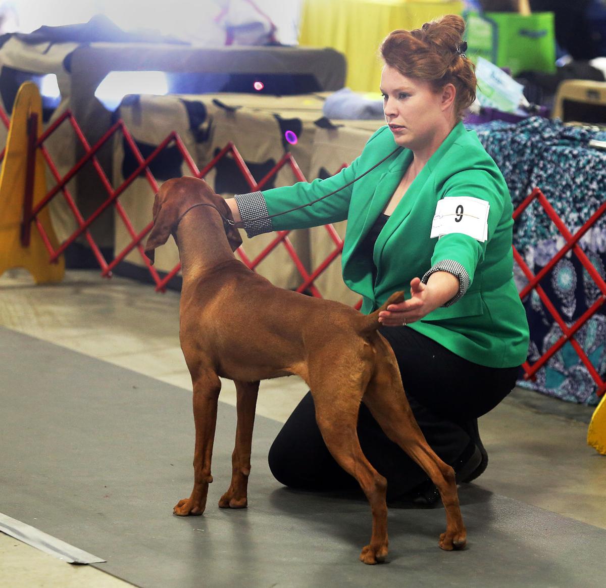 Charleston Kennel Club