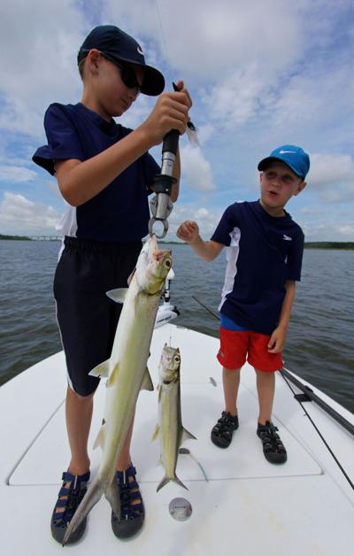 Ladyfish An Underrated Inshore Target Latest Headlines Postandcourier Com