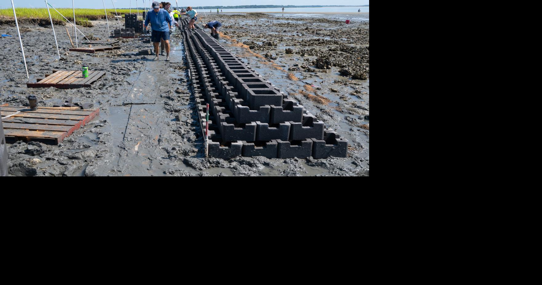 The Marines are looking for a few good men and women to help with conservation project