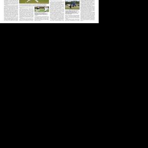Page B11 | The Journal Scene E-Paper