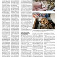 Page A4 | Aiken Standard ePaper