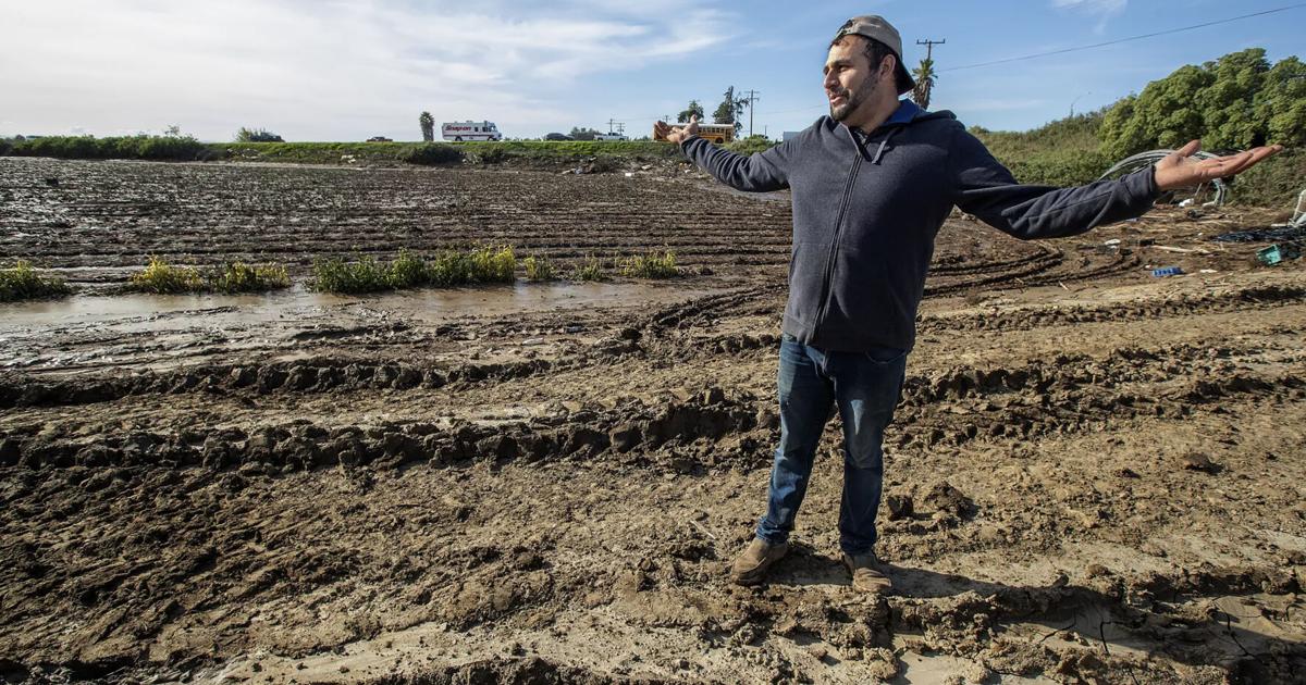 Storm flooding compounds misery for California farms and workers ...