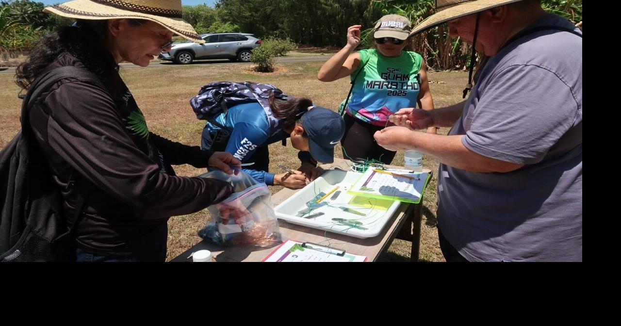 Teaching tools, support to bring conservation into the classroom