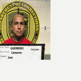 Felon found guilty of planning auto thefts, burglaries, credit card fraud