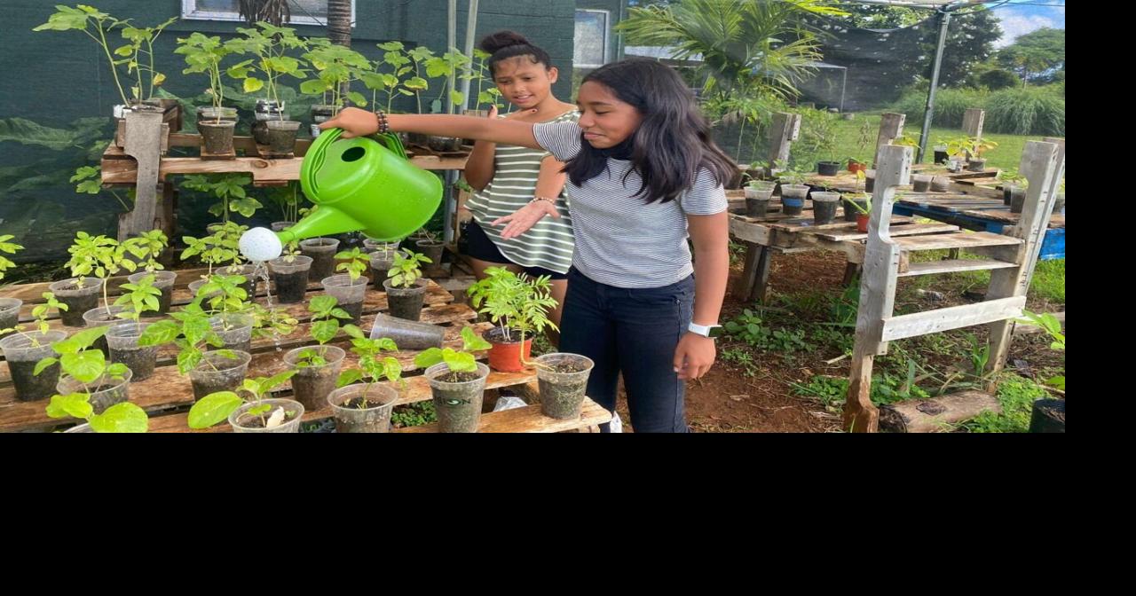 Li'l Sprouts Academy teaches students to grow, harvest, cook Guam