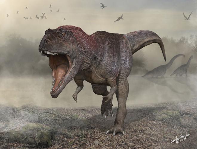 Newly discovered dinosaur shows pattern of huge animals with tiny arms |  Entertainment 