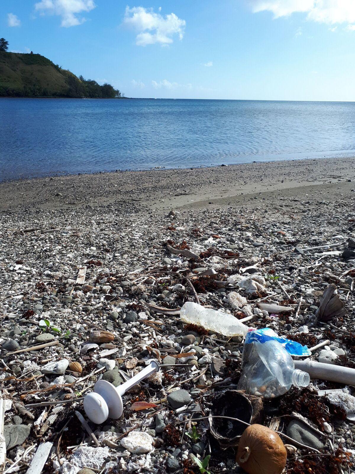 Ditching the disposable life Spots on the Rock