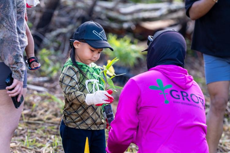 Over 1,200 trees planted to protect Guam's watersheds, coral reefs ...