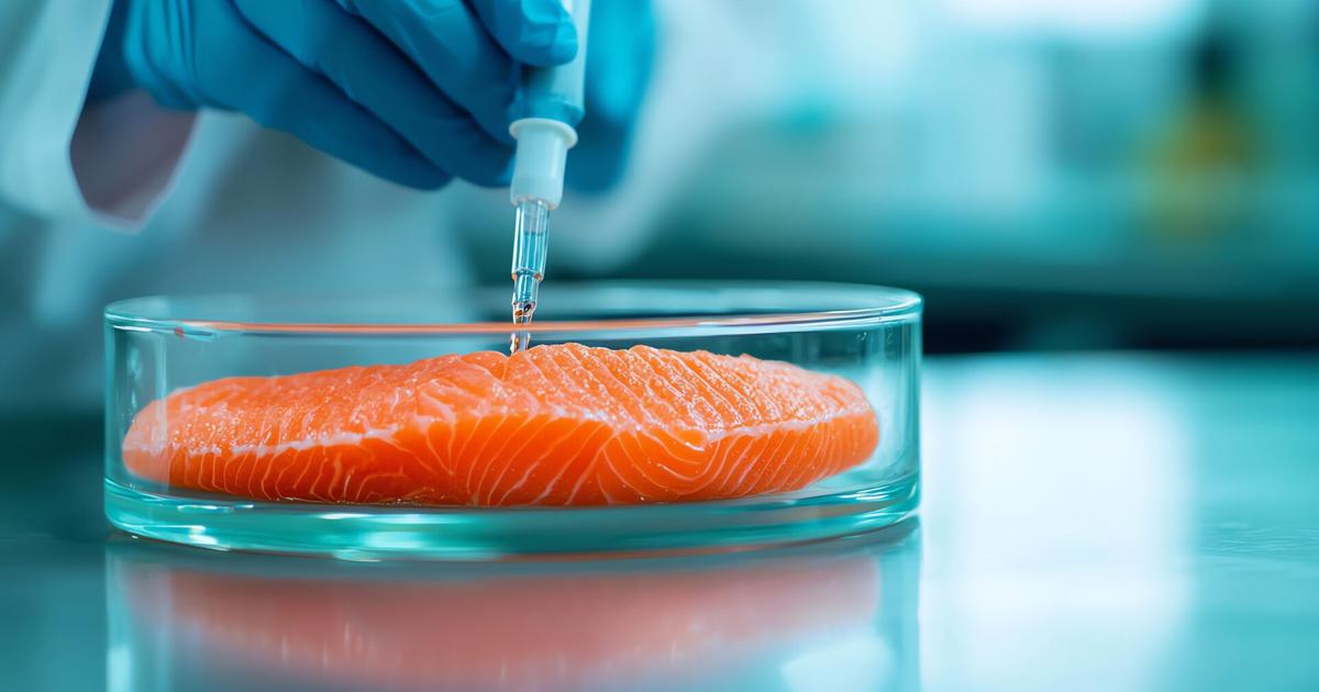 Lab Made Fish Lab-grown seafood is hitting restaurant menus. Would you eat it ...