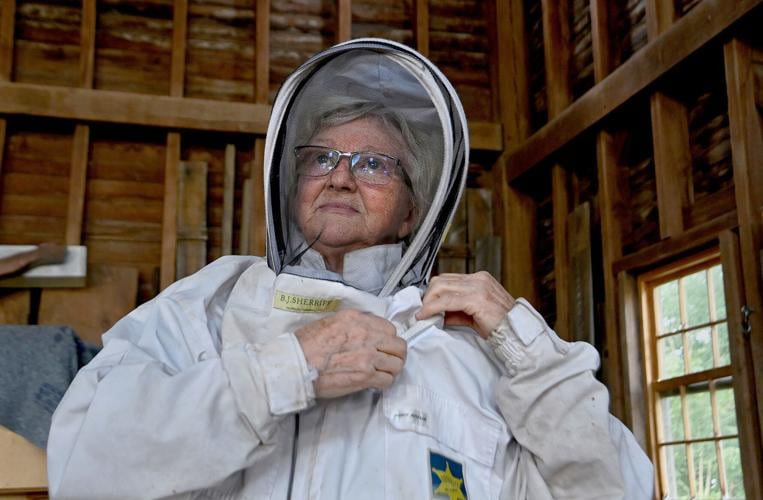 A once-obscure type of beekeeping could help save colonies 2