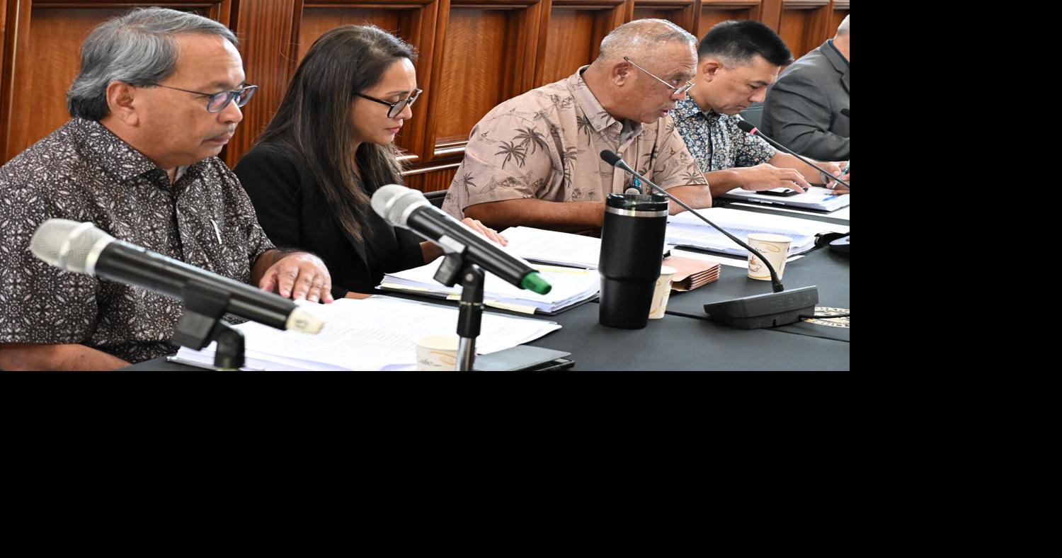 Special session: Lawmakers grill agency officials on airport needs