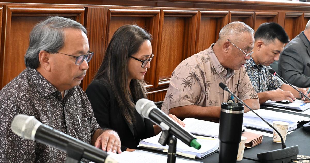 Special session: Lawmakers grill agency officials on airport needs