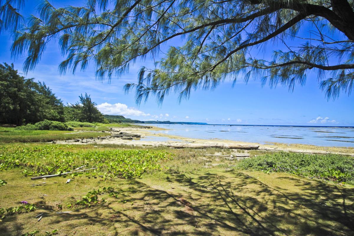 Scavenge seashells by the seashore in idyllic Ipan