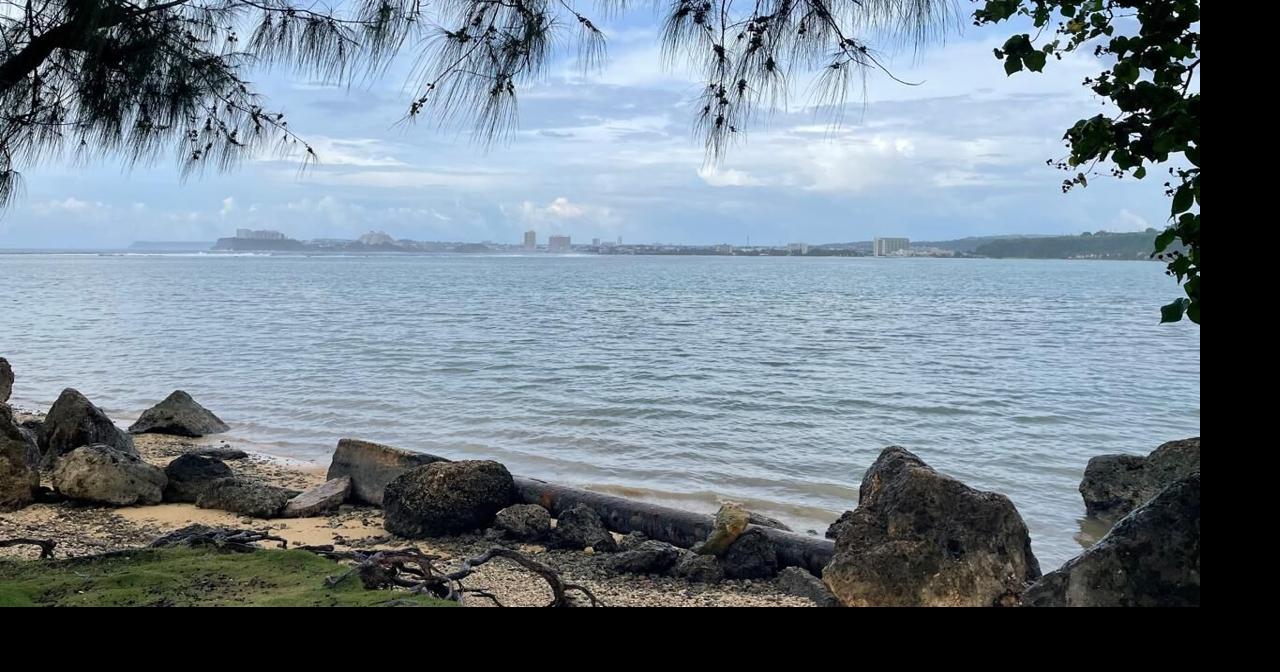 Tsunami email update