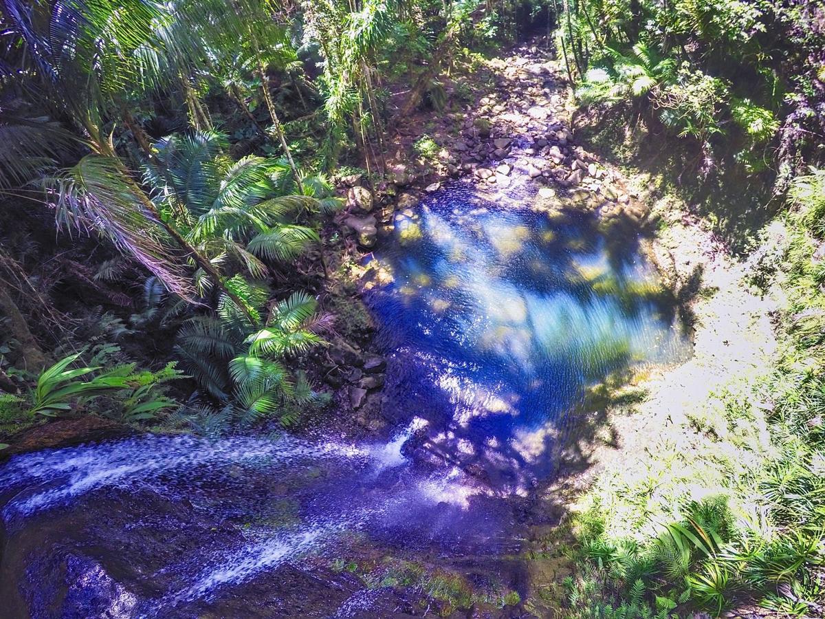 Journey to secluded San Carlos Falls and Swim Hole