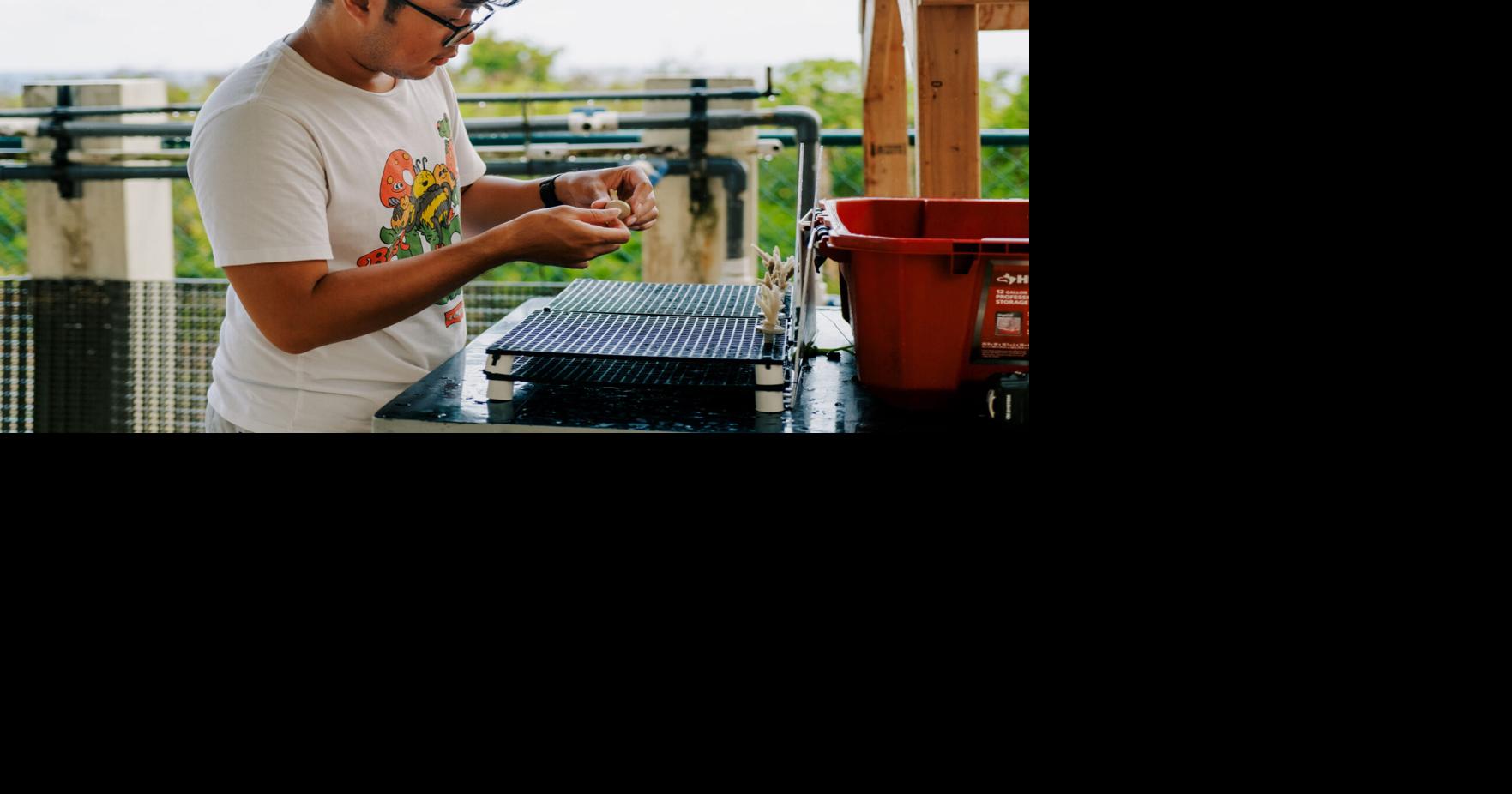 Revolutionary coral research instrument could transform reef restoration efforts worldwide