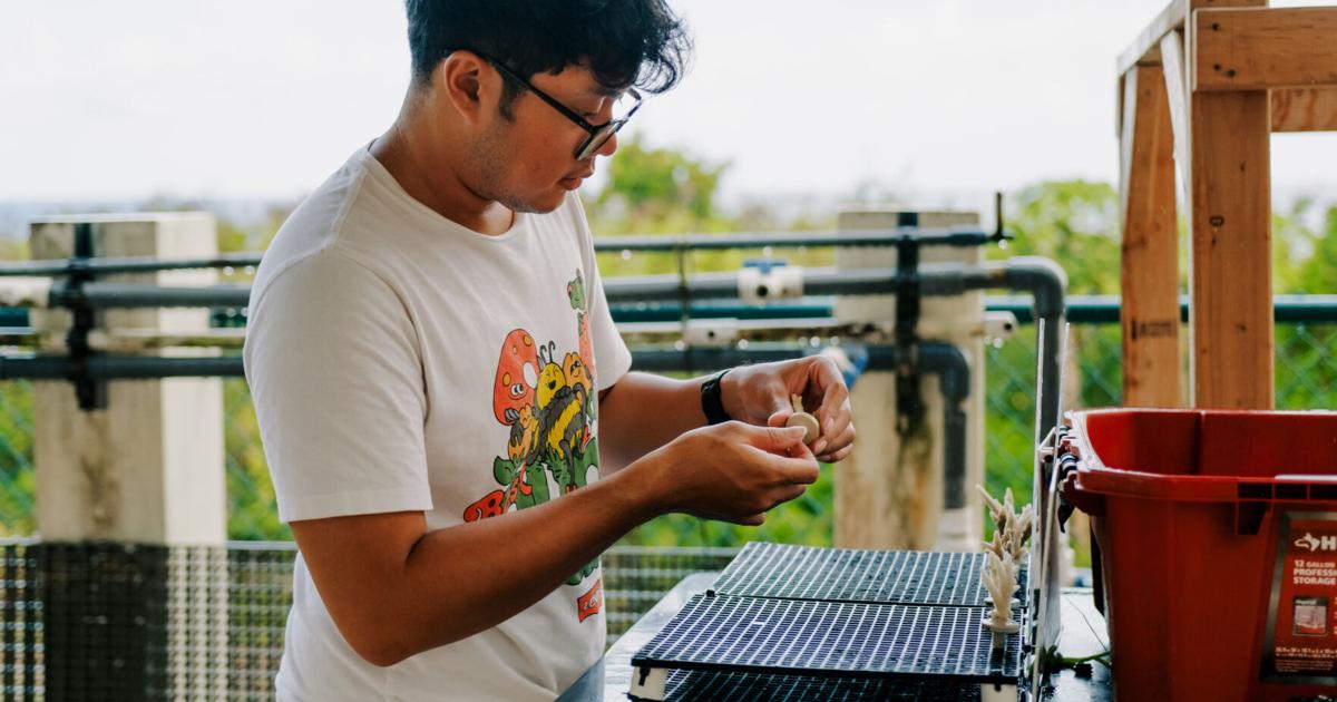 Revolutionary coral research instrument could transform reef restoration efforts worldwide