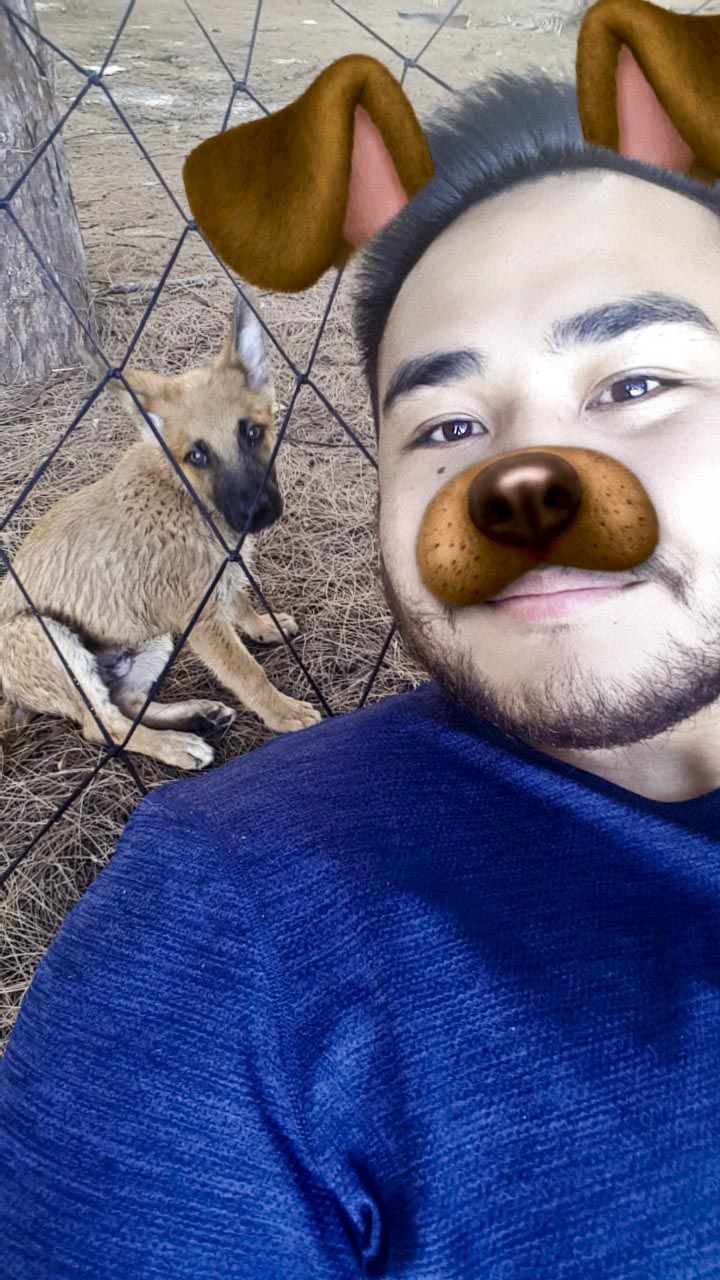 Man's best friends Lifestyle